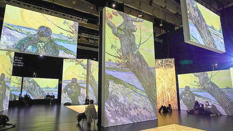 Bilder des Malers Vincent van Gogh werden in der Ausstellung „Van Gogh Alive“ lebendig. Foto: Georg Wendt/dpa