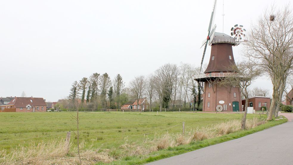 Diese Fläche bei der Mühle soll aus Sicht des Mühlenvereins nicht voll bebaut werden, weil sich sonst der Wind ändert. Foto: Karin Böhmer