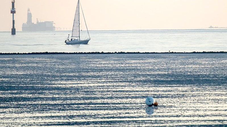 Sowohl unter als auch über Wasser führt das Nordseelife-Projekt des Nabu. Foto: Sina Schuldt/dpa