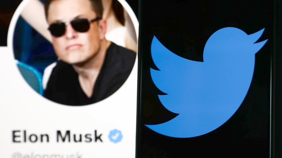 Elon Musk ist bekennender Twitter-Fan — aber auch ein großer Kritiker der Plattform. Foto: imago images/NurPhoto