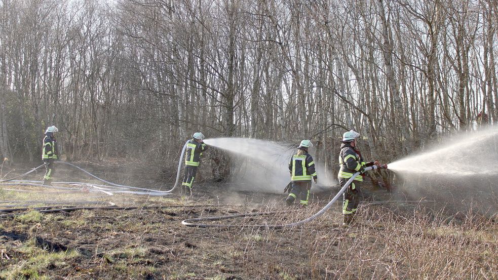 Im April 2020 hatte sich trockenes Gras an der Hauptwieke II in Wiesmoor entzündet. Bei Eintreffen der Feuerwehr war der Flächenbrand auf ein angrenzendes Waldstück übergesprungen. Foto: Feuerwehr