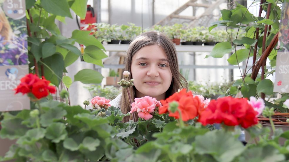 Schülerin Guilietta Cipolla ist im „Garten Eden“ (Holtrop) in die Welt der Geranien eingetaucht. Foto: Heino Hermanns