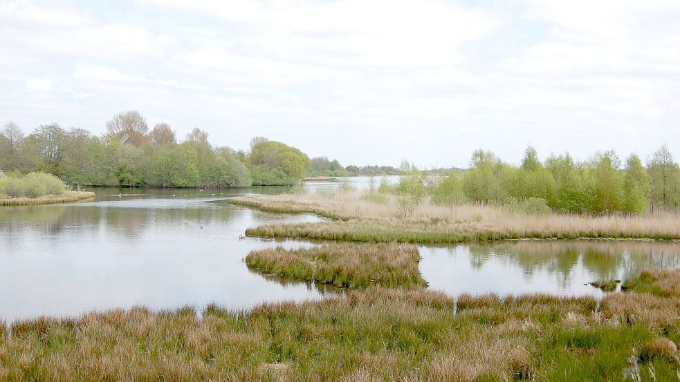 Der Wasserstand des Sandwaters in Simonswolde ist wieder gesunken. Foto: Imke Cirksena
