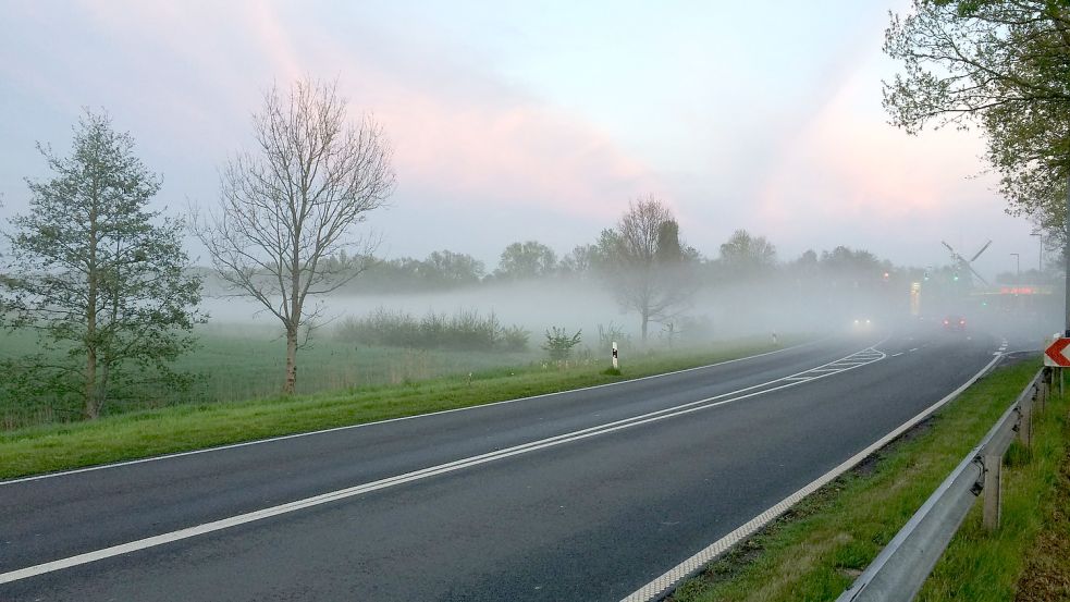 Auch die Bäume an der Bundesstraße sind für Fledermäuse interessant. Allerdings sind einige Arten dort erst unterwegs, wenn die Beleuchtung aus ist. Diese Aufnahme mit Nebel ist schon ein paar Jahre alt. Foto: Werner Strube