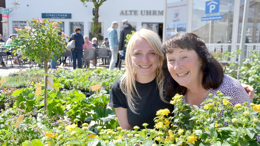 Ashling Mac Aogain verkaufte gemeinsam mit ihrer Mutter Petra Kraft Mac Aogain auf dem Geranienmarkt in Aurich Pflanzen. Foto: Franziska Otto