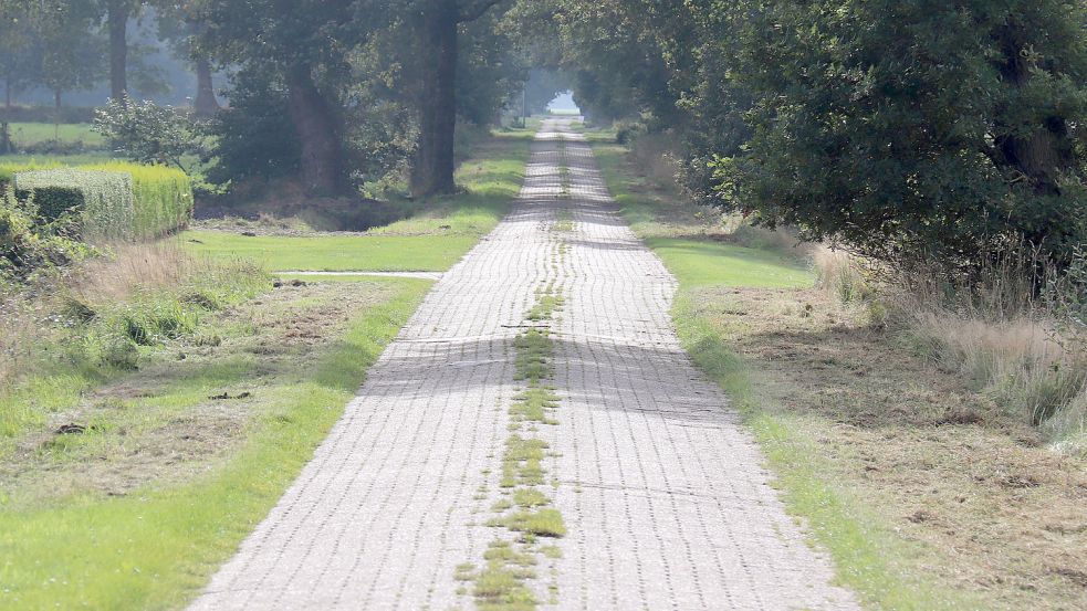 Der Reitplatzweg ist wegen der vielen Versackungen stark sanierungsbedürftig. Foto: Heino Hermanns