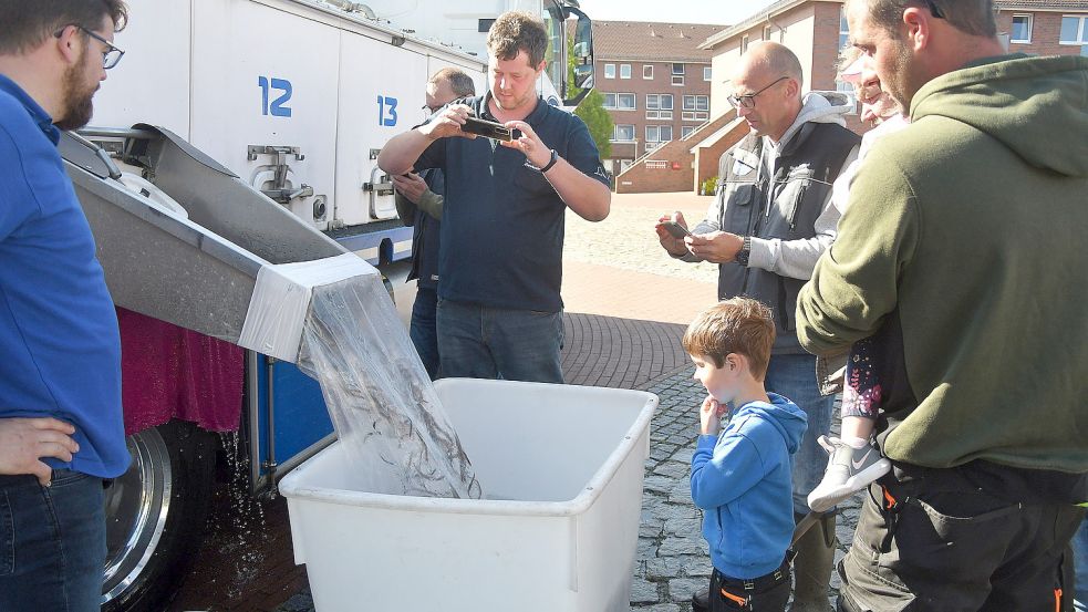 Am Auricher Hafen beobachten die BVOler, wie die Aale von dem Speziallaster in die Kübel gelassen werden. Foto: Gerd-Arnold Ubben