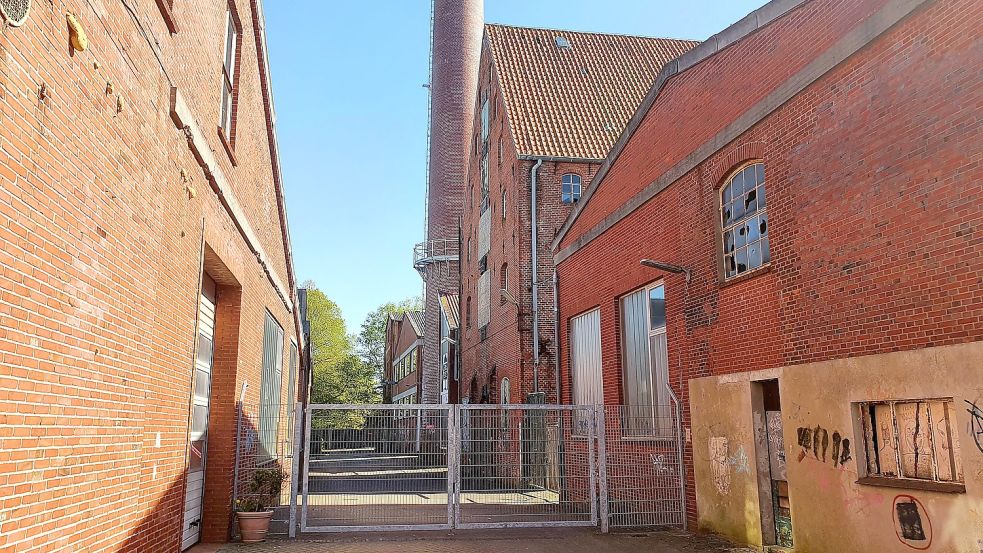 Seit zwei Jahren ist das Doornkaat-Gelände in Norden aus Sicherheitsgründen gesperrt. Schon bald soll das Areal nach 30 Jahren aus seinem Dornröschenschlaf erweckt werden. Foto: Rebecca Kresse