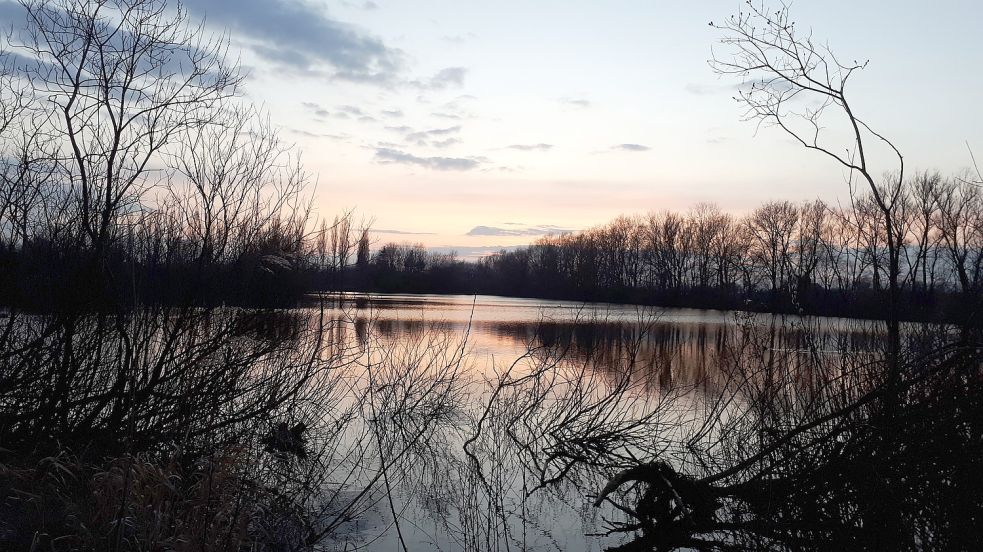 In der Dämmerung sind am Tjücher Moortun in Marienhafe Fledermäuse aktiv. Sie könnten durch die nördlich des Baggersees (im Hintergrund rechts) geplante Sportanlage beeinträchtigt werden, befürchten Naturschützer. Foto: Sarah Dirks