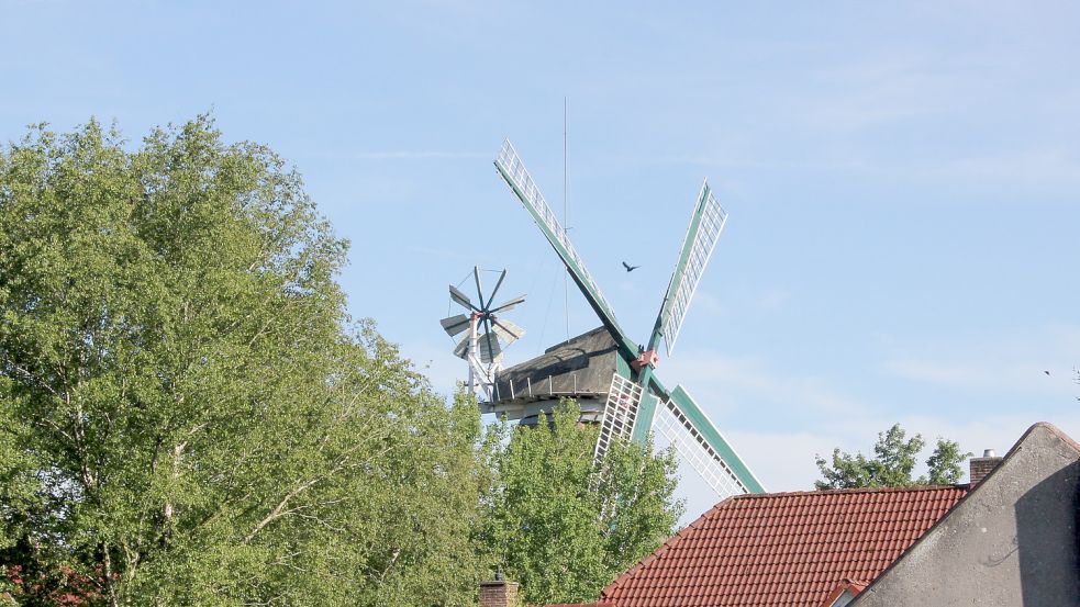 Auch die Tjücher Mühle ist in Privatbesitz und bietet zum Mühlentag kein Besichtigungsprogramm. Foto: Karin Böhmer