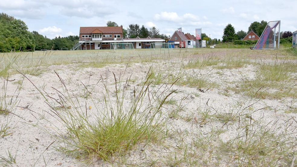 Grüne Grube: Bis hier Weitsprung stattfinden kann, ist noch einiges zu tun. Foto: Thomas Dirks
