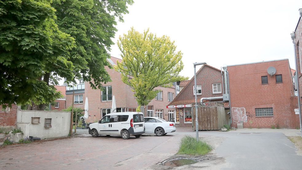 Die Goldulme neben dem „Hirsch“ soll gefällt werden. Foto: Romuald Banik