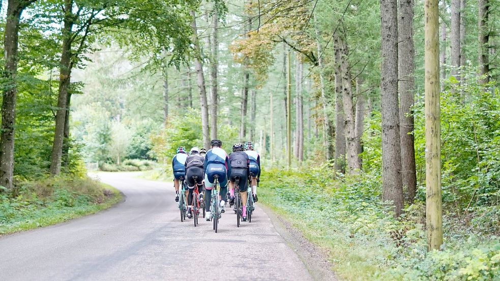 Immer mehr Deutsche fahren Fahrrad - auch durch Ostfriesland. Foto: Martin Magnemyr auf Unsplash