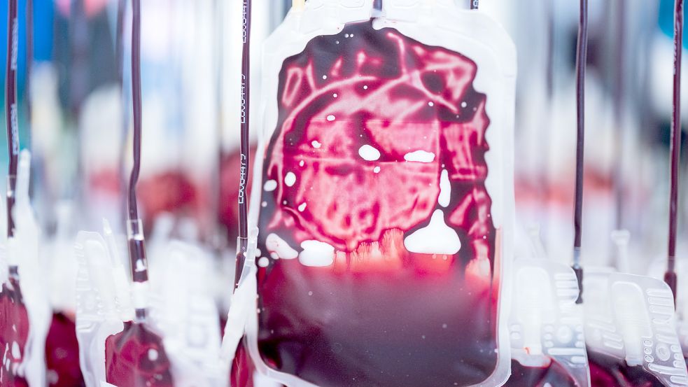 Blutkonserven werden im Zentrallabor des DRK-Blutspendedienstes für Krankenhäuser und Praxen gefiltert und aufbereitet. Foto: DPA