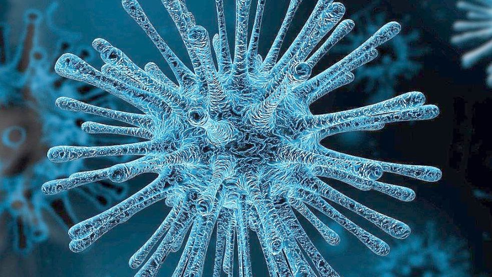 Das Coronavirus. Symbolfoto: Pixabay