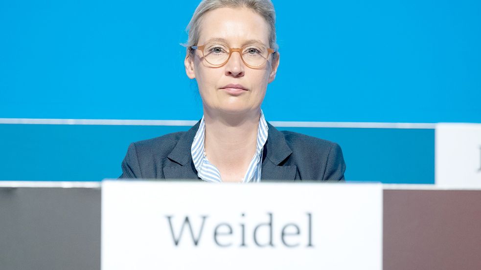 Die neue AfD-Co-Chefin auf dem Bundesparteitag im sächsischen Riesa. Foto: dpa/Sebastian Kahnert