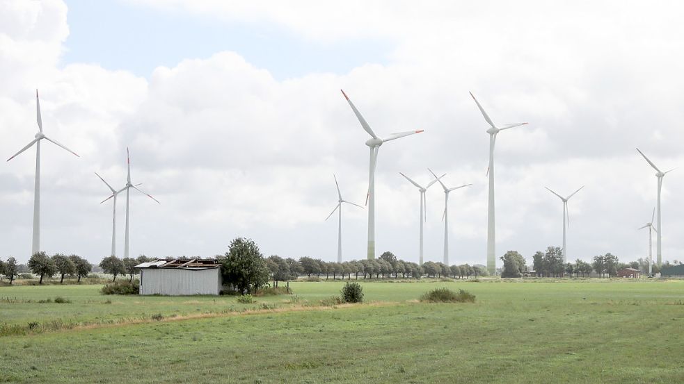 Der Windpark Ihlow im August 2020. In den kommenden Jahren sollen die Anlagen durch leistungsstärkere Modelle ersetzt werden. Foto: Romuald Banik
