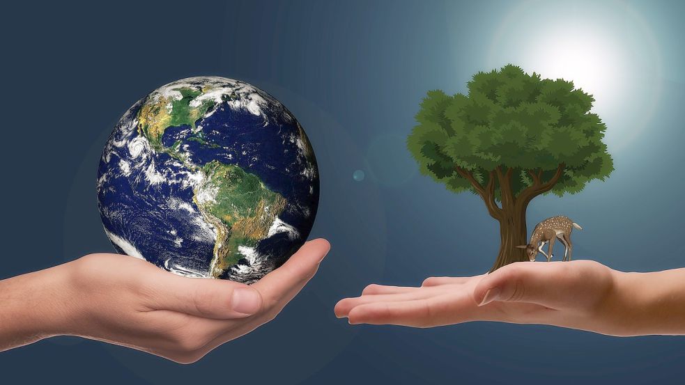 In Aurich wurde der neue Klimaschutzmanager im Umwelt- und Verkehrsausschuss vorgestellt. Foto: Pixabay