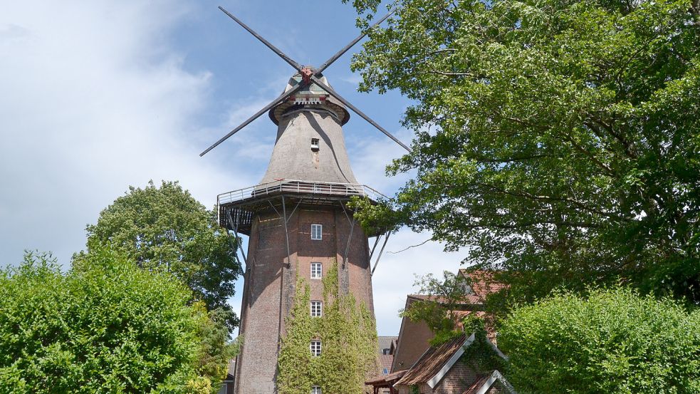 An den Flügeln und der Kappe der Mühle muss einiges getan werden. Foto: Neelke Harms