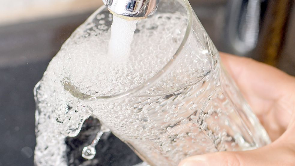 Wasser ist kostbar, aber nur ein kleiner Teil davon wird in Deutschland für die Ernährung gebraucht. DPA-Symbolfoto: Patrick Pleul