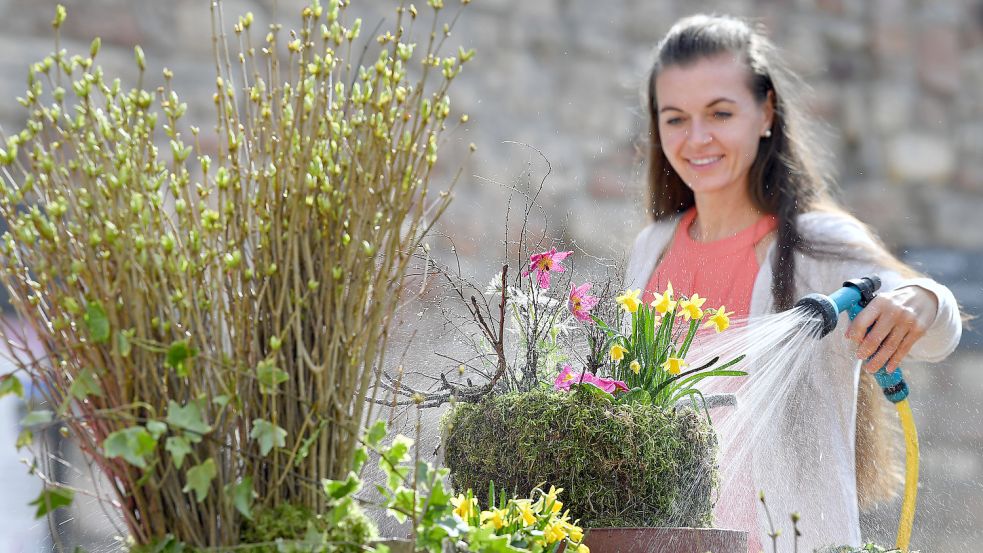Im Nordwesten wird immer mehr Wasser verbraucht – auch für die Gartenbewässerung. Foto: DPA
