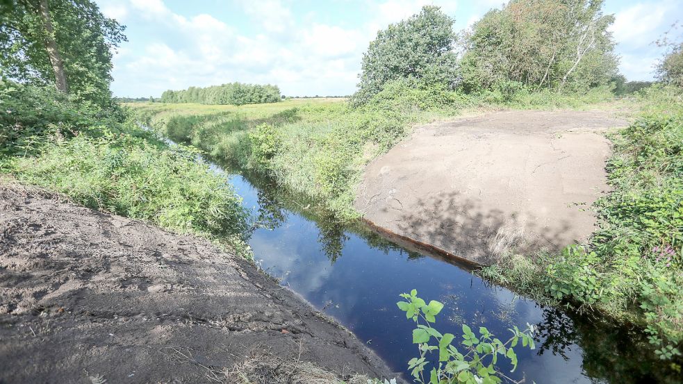 In Tannenhausen wird der Klimaschutz mit der Wiedervernässung des Moores umgesetzt. Foto: Romuald Banik