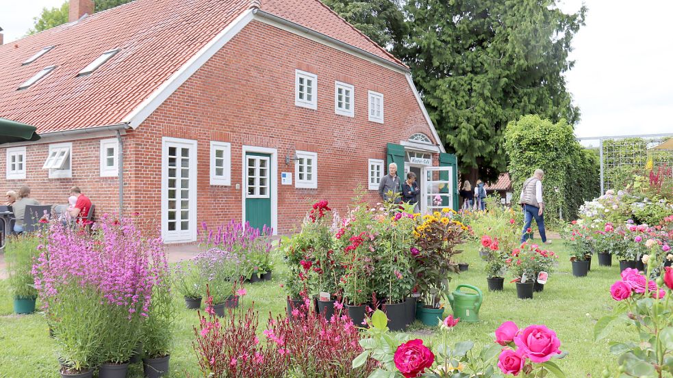 Viele Pflanzen wurden vor dem alten Forsthaus an der Klosterstätte Ihlow angeboten. Fotos: Heino Hermanns