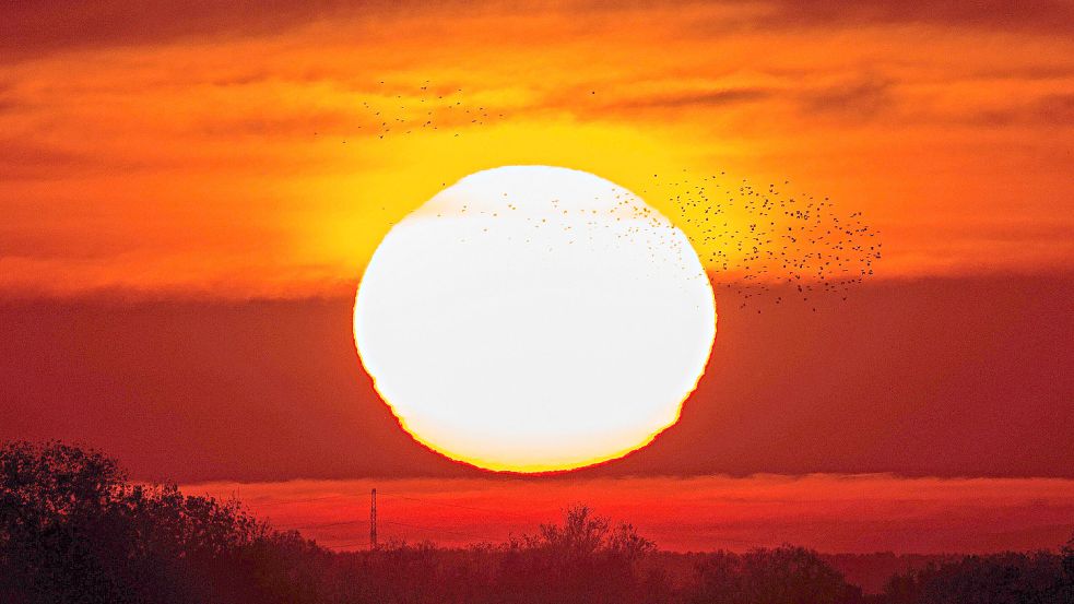 Mitte Juli erwarten Meteorologen eine Hitzewelle für Deutschland. Foto: imago images/photo2000