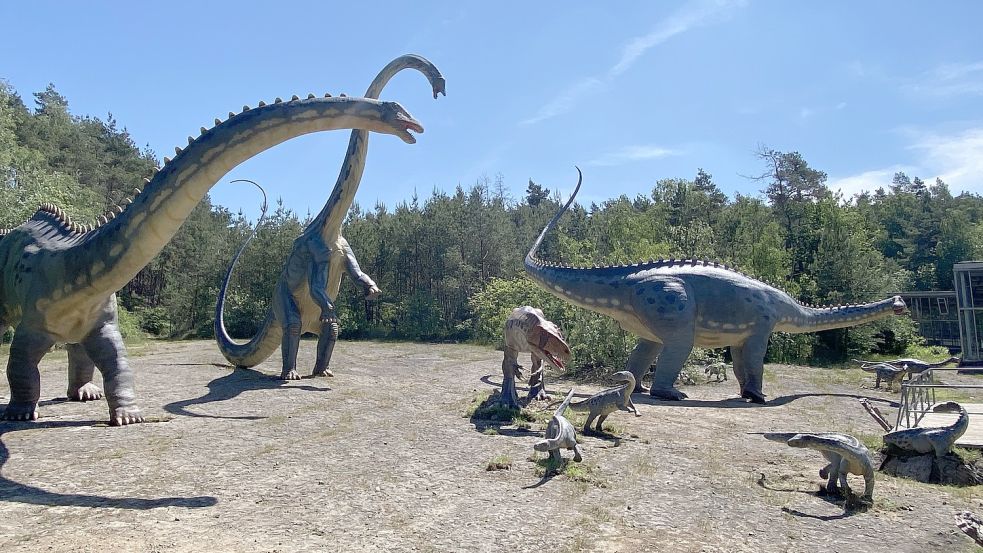Im Freilichtmuseum Münchehagen erfahren die Besucher alles über Dinosaurier und andere Urzeittiere. Foto: Privat