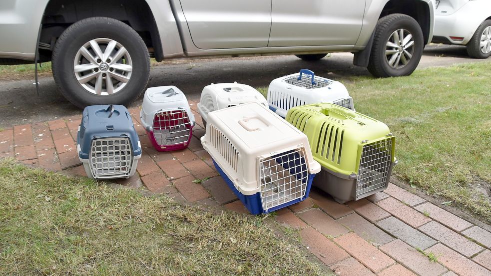 Die Katzen und Kaninchen wurden in Tierheimen untergebracht.