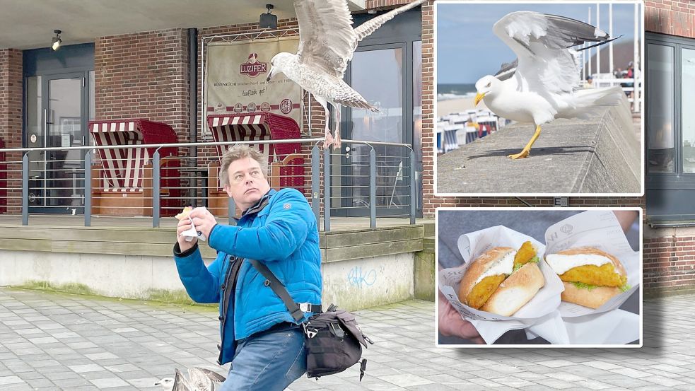 Unachtsame Urlauber und Einheimische können sich in Schleswig-Holstein schneller von ihren Fischbrötchen verabschieden, als ihnen lieb ist. Das musste auch Redakteur Arne Peters (links) am eigenen Leib erfahren. Foto: Christoph Rohde, Helmut Newton, dpa