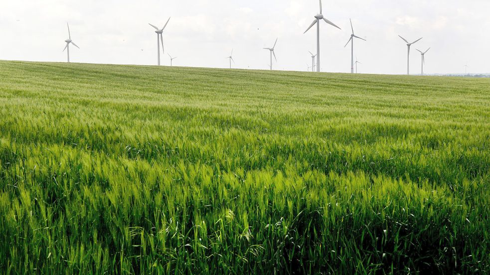 Sind nur Geldanlagen nachhaltig, die direkt dem Klimaschutz dienen? Der Verbraucher muss weiterhin genau hinschauen. Foto: Roland Weihrauch/dpa