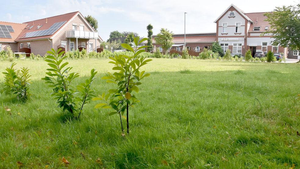 Das umstrittene Grundstück im Ortskern von Leezdorf, im Volksmund als Kurgarten betitelt, ist derzeit ungemäht und ohne Sitzbänke. Foto: Thomas Dirks