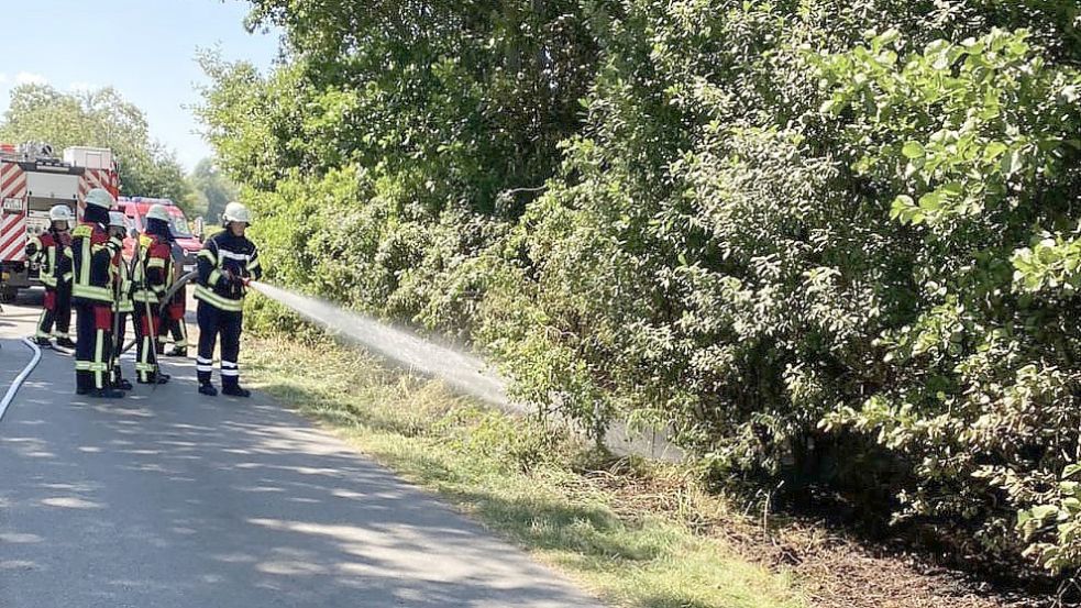 Direkt am Straßenrand war das Feuer ausgebrochen. Foto: Feuerwehr