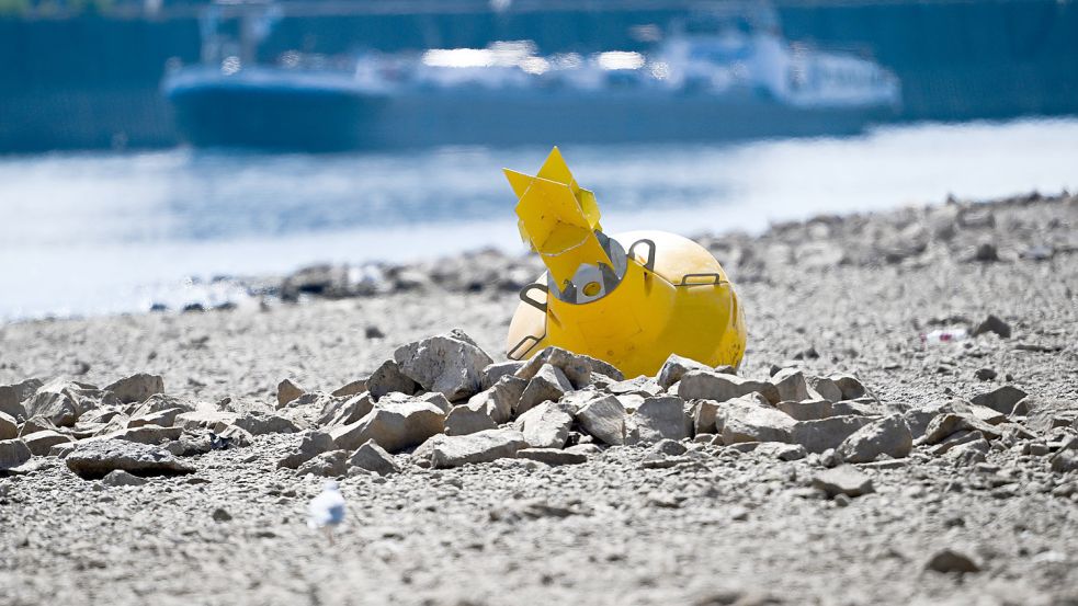 Niedrigwasser am Rhein: Laut Experten wird es dazu im Sommer jetzt häufiger kommen. Der Klimawandel ist längst sichtbar. Foto: Federico Gambarini