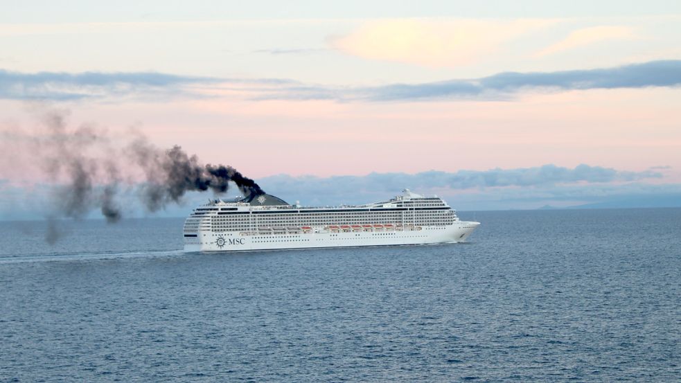 Kreuzfahrtschiff der Reederei MSC. Foto: Hapke/Nabu