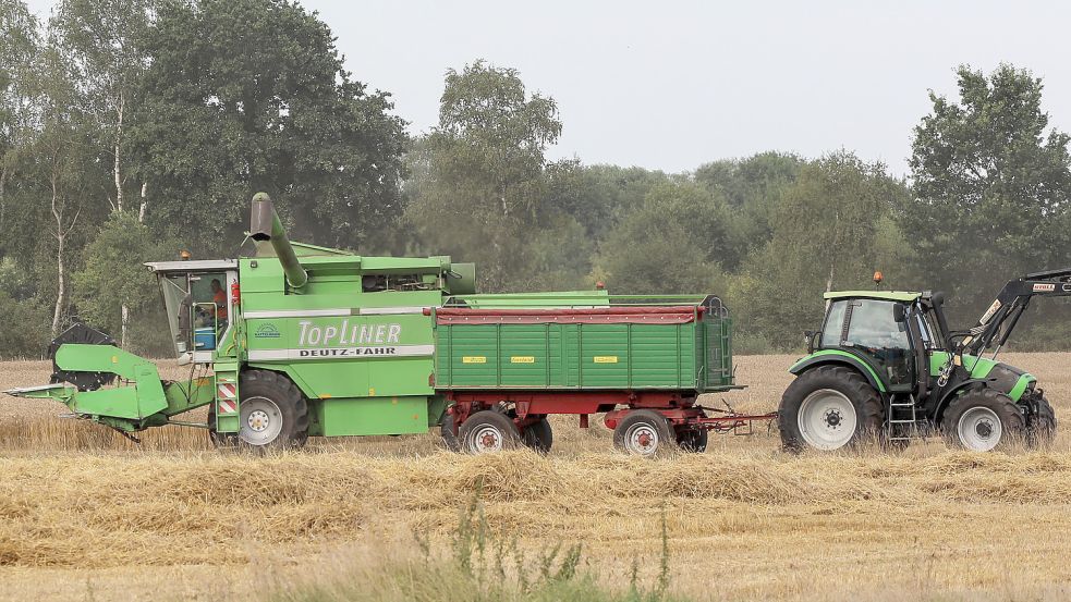 Die Ernte, hier bei Aurich-Dietrichsfeld, fiel in diesem Jahr gut aus. Foto: Romuald Banik