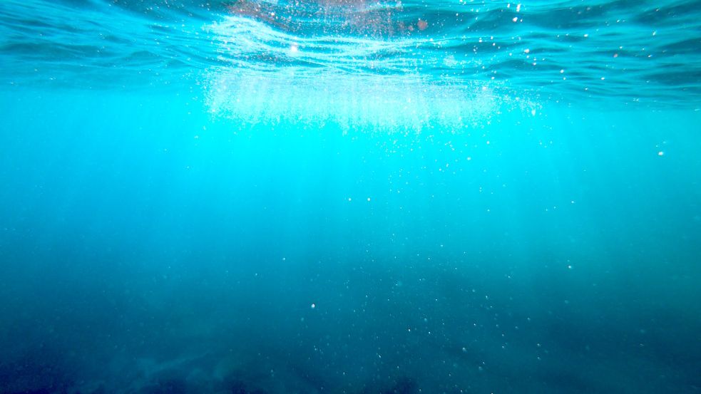 Der Rückkopplungseffekt wirkt sich auf die Temperatur der Meere aus. Foto: Unsplash / Cristian Palmer