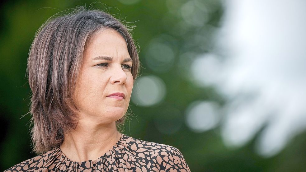 Annalena Baerbock (Grüne) ist Opfer einer Fake-Kampagne geworden. Foto: dpa/Kay Nietfeld