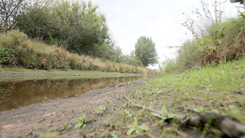 Eigentlich fließt das Wasser im Ringkanal auf einer Breite von mehreren Metern. Davon ist derzeit kaum noch etwas übrig. Foto: Romuald Banik