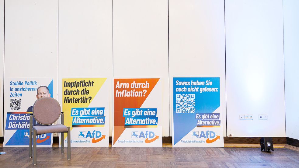 Wahlkampfplakate der AfD für die Landtagswahl in Niedersachsen. Foto: dpa/Michael Matthey