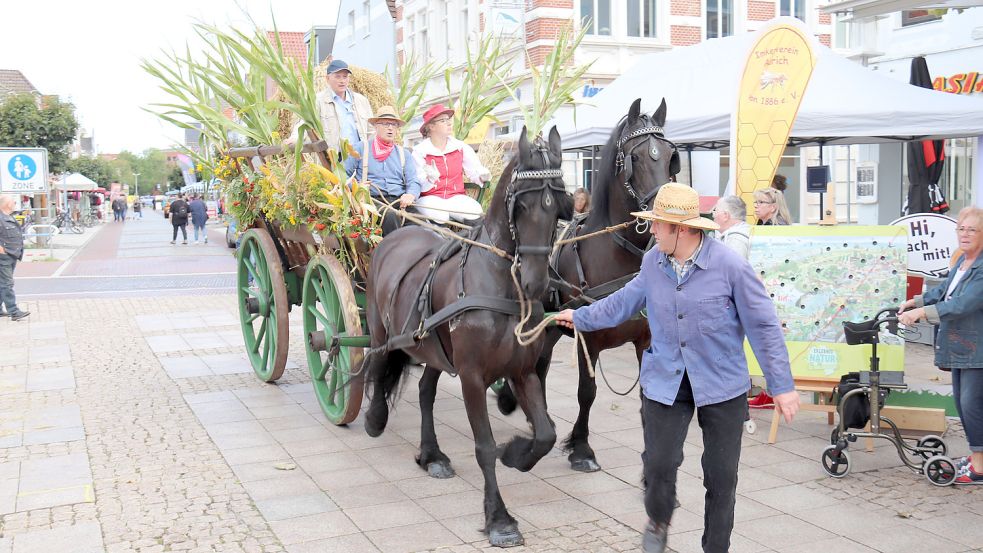 Zwei Friesen zogen den Leiterwagen mit der Erntekrone auf den Auricher Marktplatz. Foto: Heino Hermanns