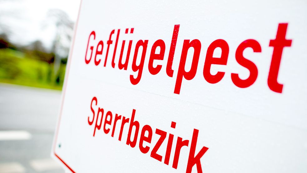 Ein Schild mit der Aufschrift „Geflügelpest Sperrbezirk“ steht an einer Straße im Landkreis Cloppenburg.Symbolfoto: DPA/Hauke-Christian Dittrich