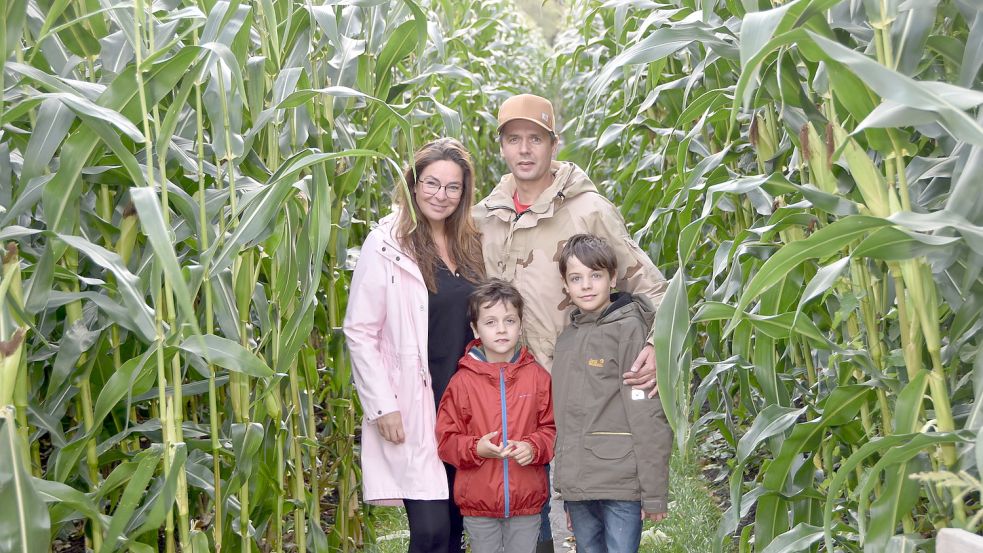 Familienspaziergang im Mais-Dickicht: Annett, Andreas, Aaron und Jakob Kutzner aus Aurich im Lütetsburger Labyrinth. Foto: Thomas Dirks