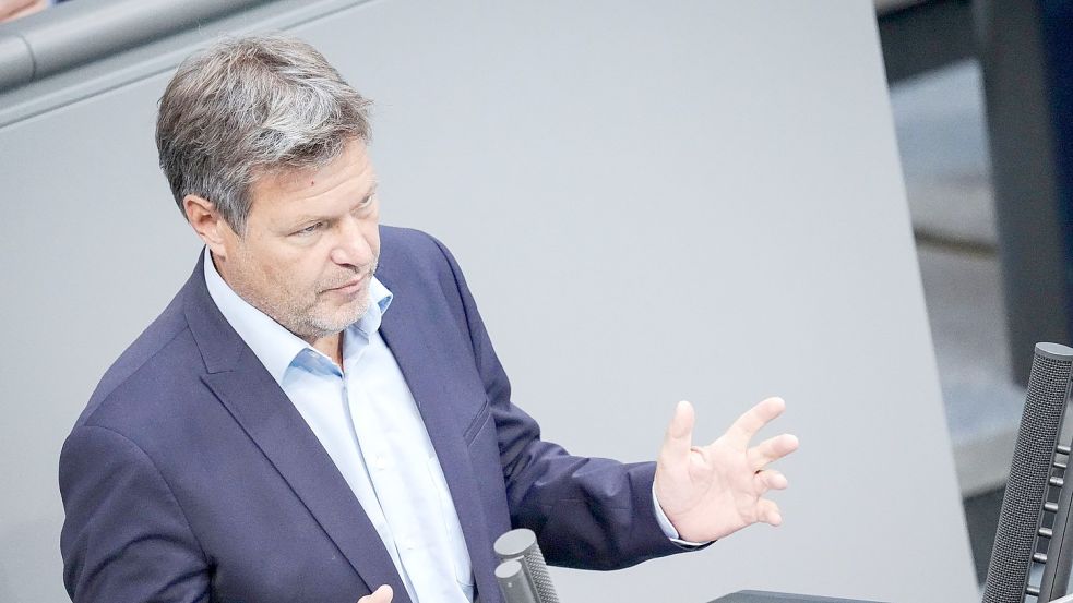 Wirtschaftsminister Robert Habeck im Bundestag. Foto: Kay Nietfeld/dpa