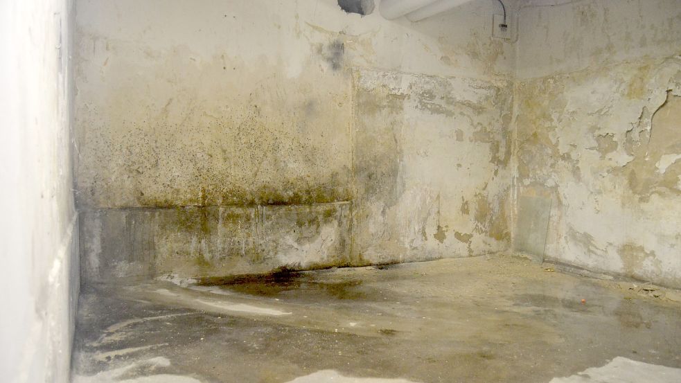 Einer der Kellerräume in der Wiesenstraße ist von Schimmel befallen. Immer wieder steht hier das Wasser. Fotos: Neelke Harms