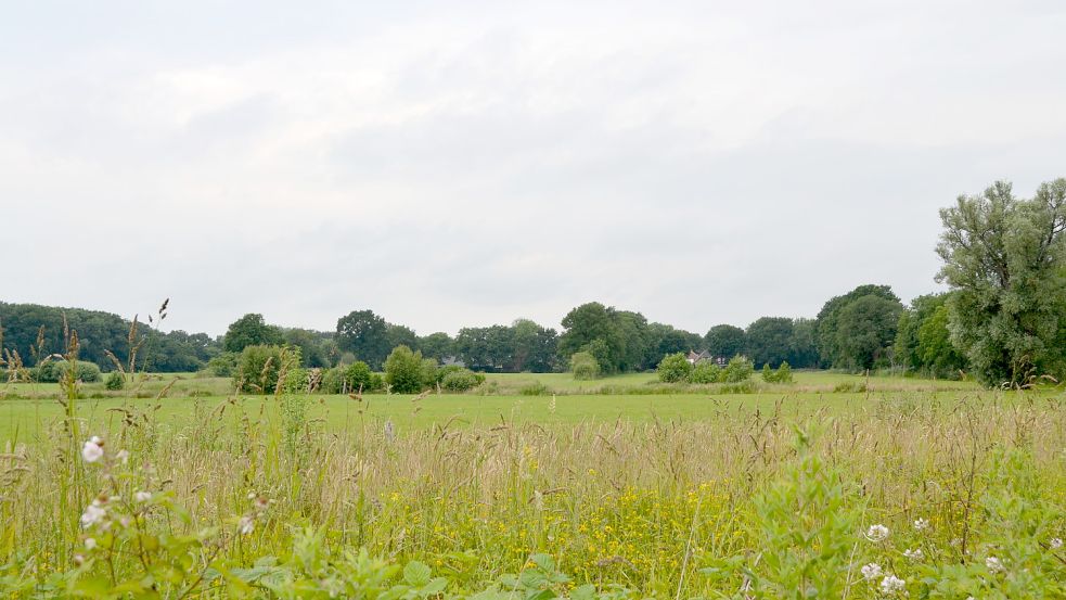 Im Zentrum der Fläche befindet sich eine Mulde, die wahrscheinlich auf einen Pingo zurückgeht. Foto: Aiko Recke