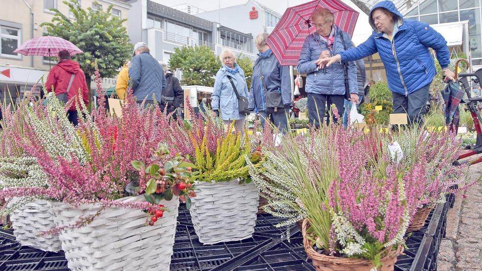 Besucherinnen des Auricher Heidemarktes schauen sich Pflanzen an. Foto: Thomas Dirks