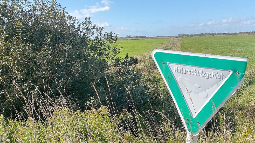 Büsche und Hecken werden aus dem Naturschutzgebiet entfernt. Foto: Holger Janssen