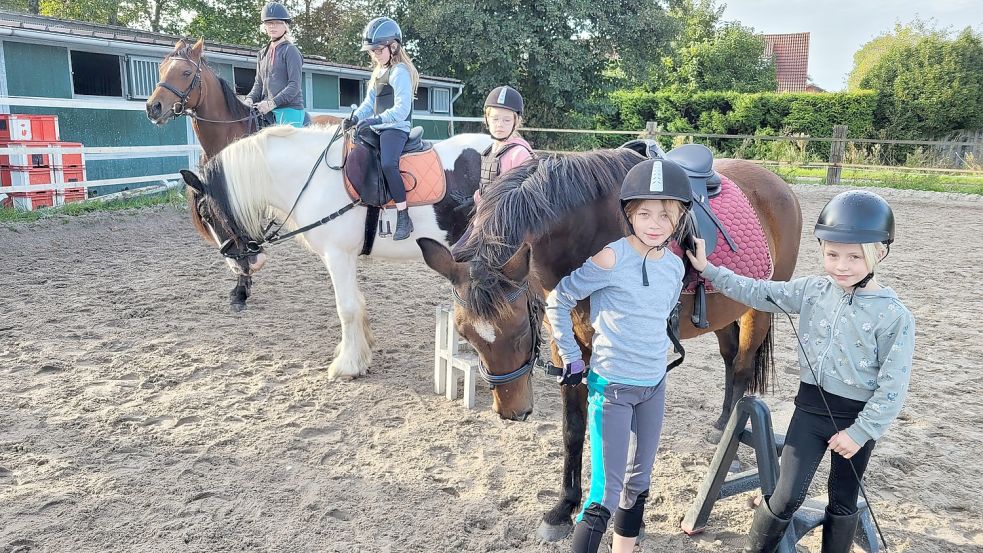 Für die Reitmädchen ist der Verein ihr Leben. Fast jeden Tag kommen Norder Kinder auf die Anlage in Bargebur, um dort zu reiten und sich zu treffen. Foto: Rebecca Kresse